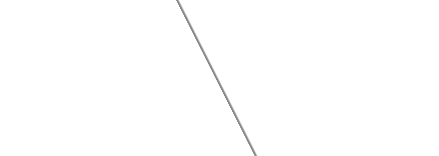 Local Moving Service